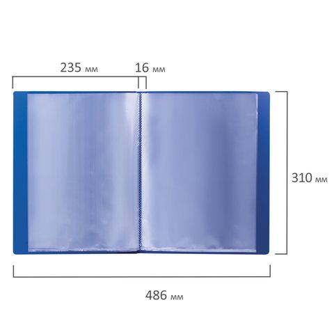 Папка 20 вкладышей BRAUBERG стандарт, синяя, 0,6 мм - фото 4 - id-p116627745