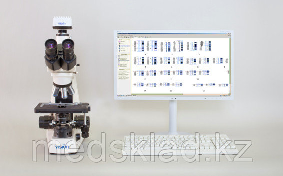 Vision Karyo® Vet Цифровая система для хромосомного анализа (кариотипирование) - фото 1 - id-p116628564