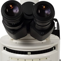 Медициналық микроскоп MT6000 (флуоресценция)