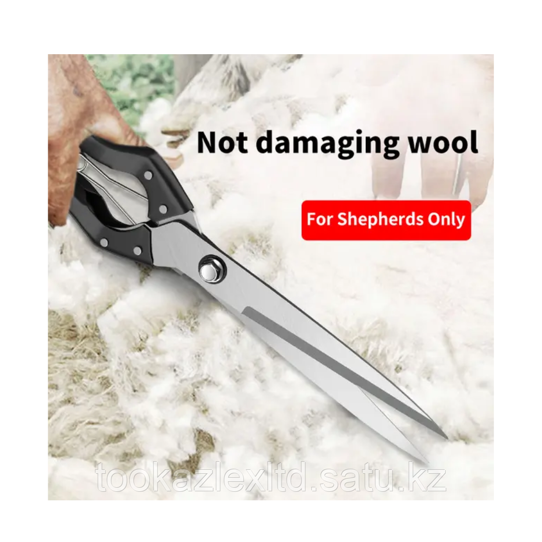 Ножницы для стрижки овец - фото 10 - id-p116635660