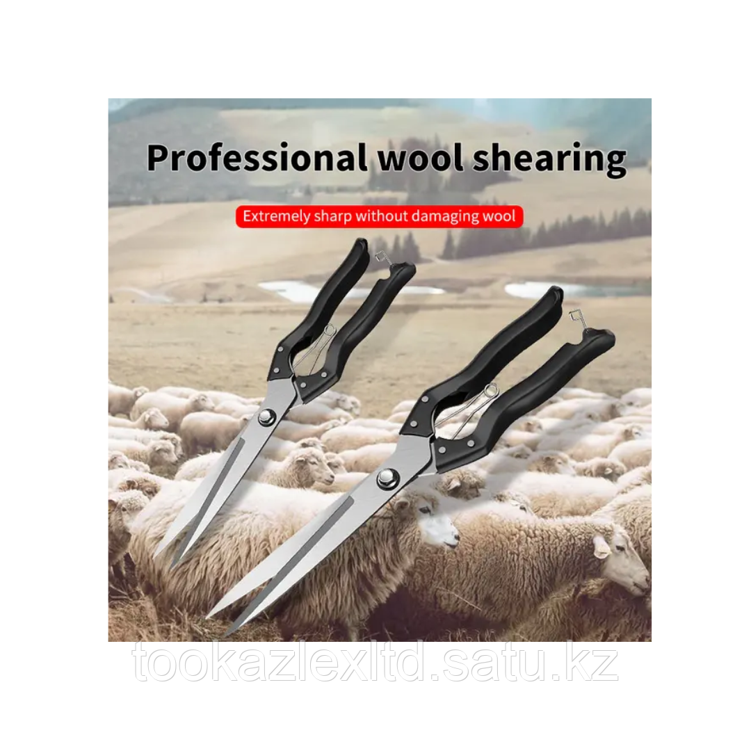 Ножницы для стрижки овец - фото 8 - id-p116635660