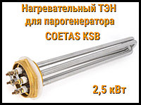 ТЭН KSB 2.5 для парогенератора Coetas KSB-150/KSB-240 (Мощность 2.5 кВт)