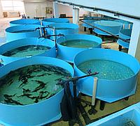 Бассейны для разведения рыб - диаметр 1.500 мм, высота 1.200 мм