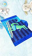 Полотенце с капюшоном " Динозавр в полоску" синее. Размер: 75*126 см