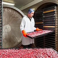 Сублимация