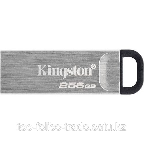 USB- Flash Kingston 256Gb, DataTraveler Duo, USB3.2 Gen 1, DTKN/256GB, Silver - фото 1 - id-p116368159