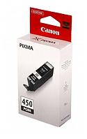 Чернила Canon PGI-450 PGBK 6499B001 черный