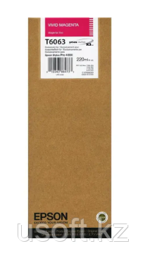 Картридж Epson C13T606300, фото 1