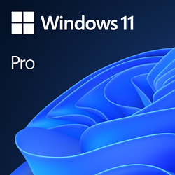 Microsoft Windows 11 Professional, 32-bit/64-bit, Электронный ключ