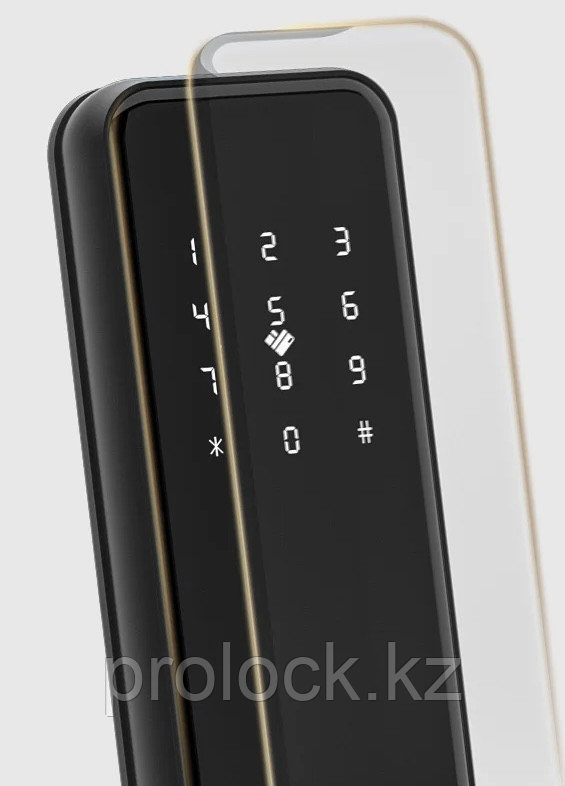 Электронный биометрический дверной смарт замок Prolock S003 Wi-Fi черный - фото 6 - id-p90976962