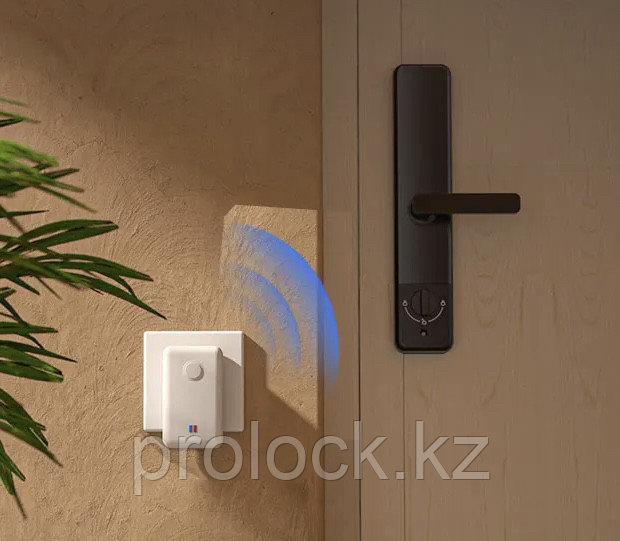 Электронный биометрический дверной смарт замок Prolock S003 Wi-Fi черный - фото 5 - id-p90976962