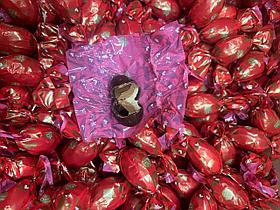 Шоколадные конфеты  OSTER phantasie КРАСНЫЕ  (на вес) 1кг