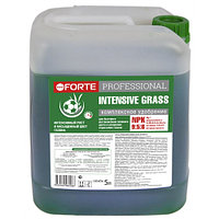 Bona Forte Professional Жидкое удобрение INTENSIVE GRASS, канистра 5 л/2 BF21170152