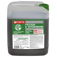 Bona Forte Professional Жидкое удобрение РАССАДА И ЧЕРЕНКОВАНИЕ, канистра 5 л/2 BF21170122