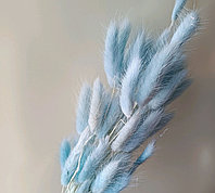 Набор сухоцветов "Лагурус", H55 см, (30 шт) Голубой, (55, Голубой)