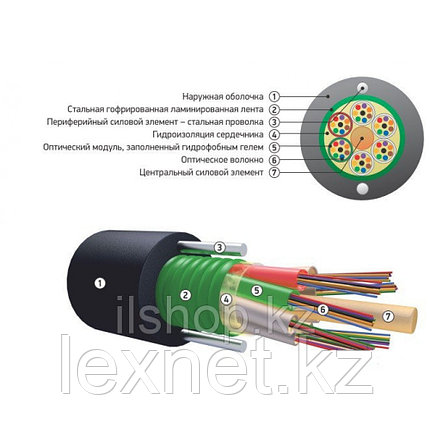 Кабель волоконно-оптический ОКСЛНГ(А)-HF-М12П-А128-2.6, фото 1
