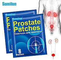 Простатаға арналған "Prostate Patches" сылағы, 8 дана