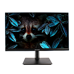 МОНИТОР HIKVISION DS-D5024FN01
