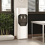 Пурифайер-проточный Aquaalliance 2200s-LC white, фото 3