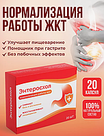 Энтеросхола инструкция Энтеросхола инструкция