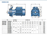 Центробежный насос Pedrollo 2CP 25/16B (1.5кВт | 380В | от 0 до 8.4 м3/час |от 30 до 58 м Напор), фото 4