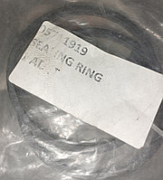 05711919 уплотнительное кольцо термостата Сальник