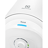 Водонагреватель Electrolux EWH 80 Trend, фото 3