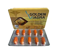 Гей және би транс порно