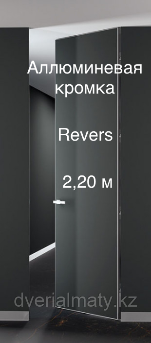 Дверь скрытого монтажа  invisible Revers BWD Pro 2,20 ALU