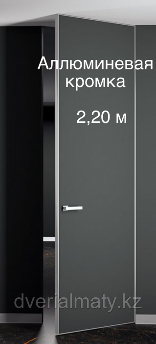 Дверь скрытого монтажа  invisible BWD Pro 2,20 ALU