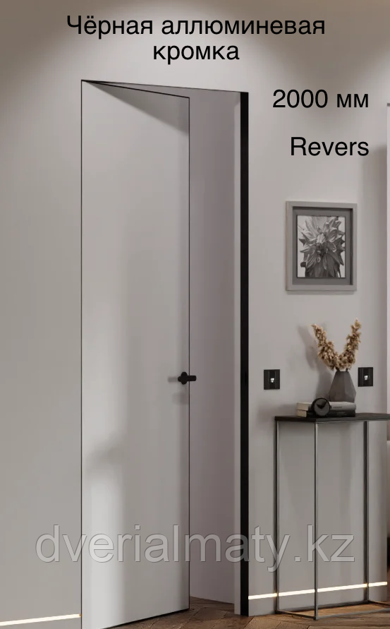 Дверь скрытого монтажа  invisible Revers BWD Pro 2,0 BLACK