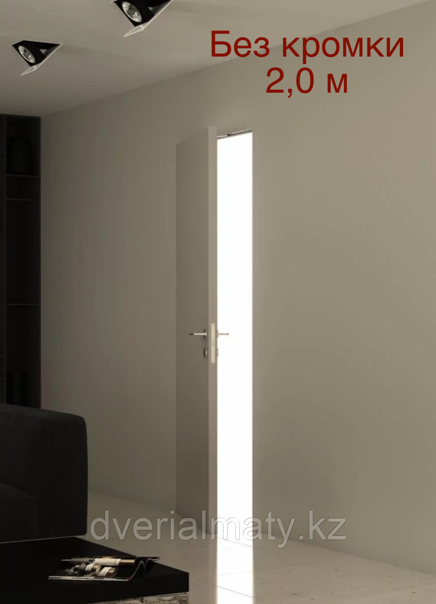 Дверь скрытого монтажа  invisible BWD Pro 2,20 ABS, фото 1