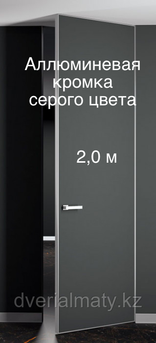 Дверь скрытого монтажа  invisible BWD Pro 2,0 ALU