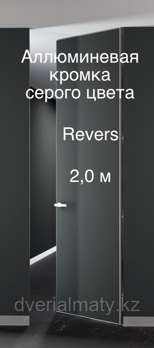 Дверь скрытого монтажа  invisible Revers BWD Pro 2,0 ALU