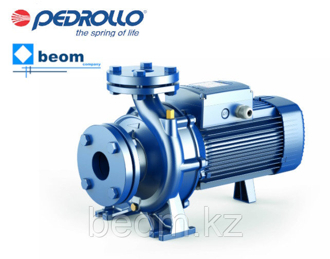 Центробежный насос Pedrollo F50/160А (7.5кВт | 380В | от 18 до 66 м3/час |от 27 до 37 м Напор) - фото 1 - id-p60916761