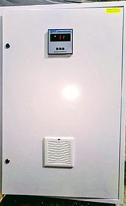 Анал саңылаулары компиляция Жеке бойдақ кеші секс видео