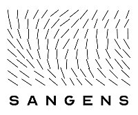 Электрокаменки для русской бани и сауны Sangens