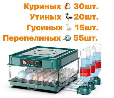 Пентакльдің секс патшасы