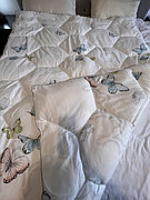 Одеяло 200х230 Алсу Лебедь