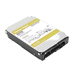 ЖЕСТКИЙ ДИСК WESTERN DIGITAL GOLD 22000 GB