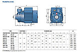 Вихревой насос Pedrollo PKm 80 (0.75кВт | 220В | от 0 до 3 м3/час | от 22 до 70 м Напор), фото 5
