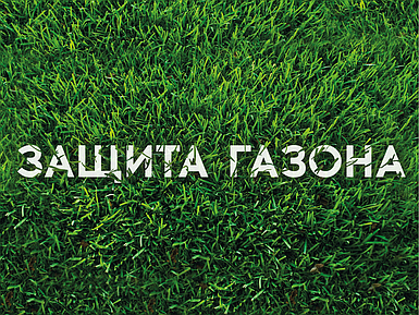 Көгалдарға арналған қорғаныс жабыны Event