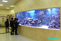 Рифовый аквариум на территории ТРЦ "Алмалы" 1