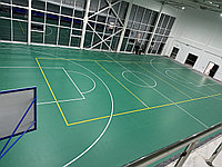 Спортивный линолеум, 6 мм.