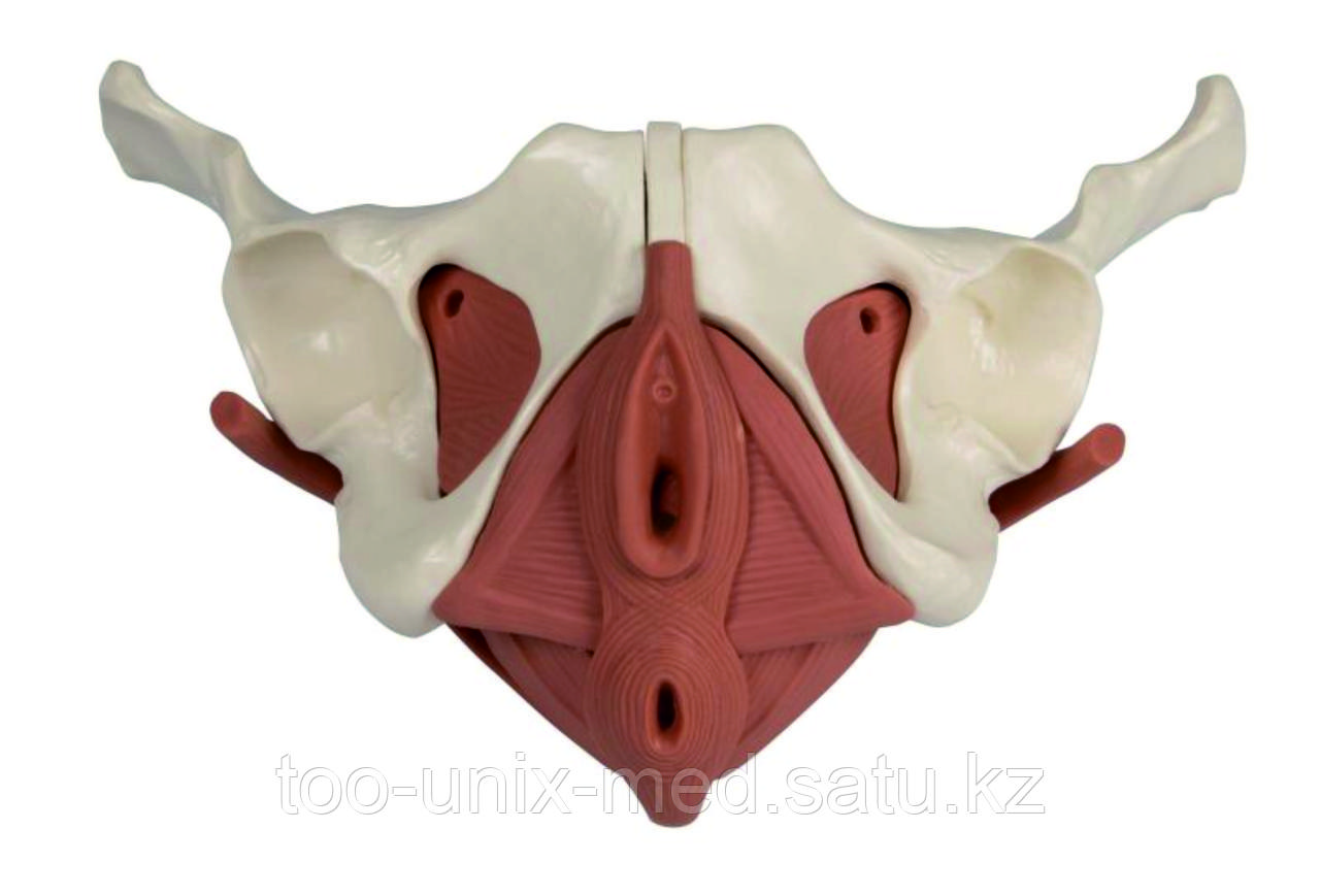 Зұлым періште порно