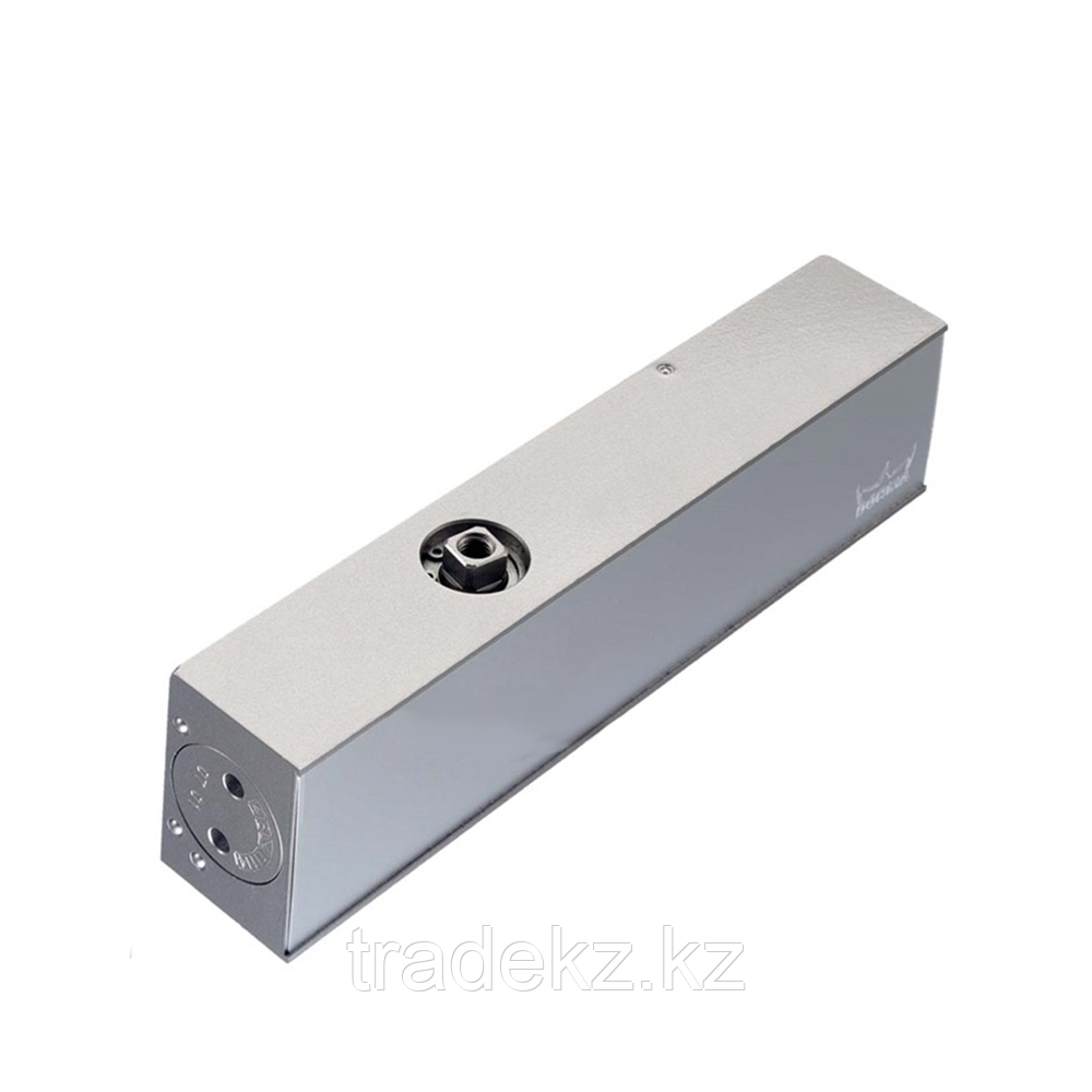 Доводчик дверной Dorma TS83 EN 7 (без рычага) серебро