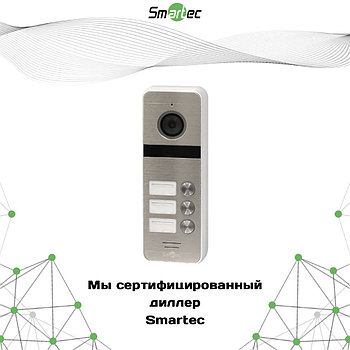 Вызывная панель домофона Smartec ST-DS536C-SL