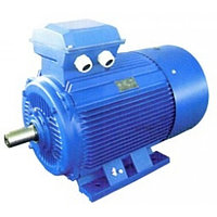 АИР280S2 110кВт/3000 об/мин 380/660V