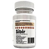 Лисички (противопаразитарные), 60 капсул, фото 3