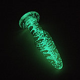 Анальный фаллоимитатор из стекла FLMIZST-02, фото 2